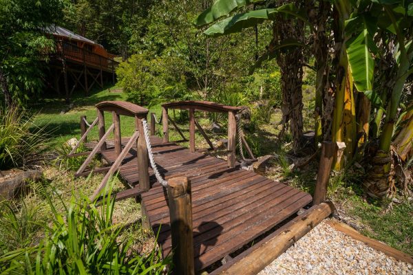 Ananda Veda Retreat – Byron Bay - Image 2