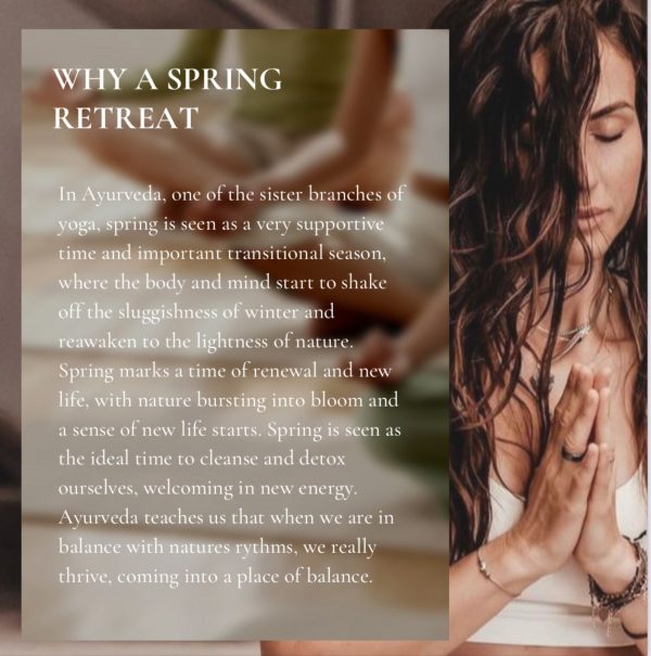 Ananda Veda Retreat – Byron Bay - Image 6